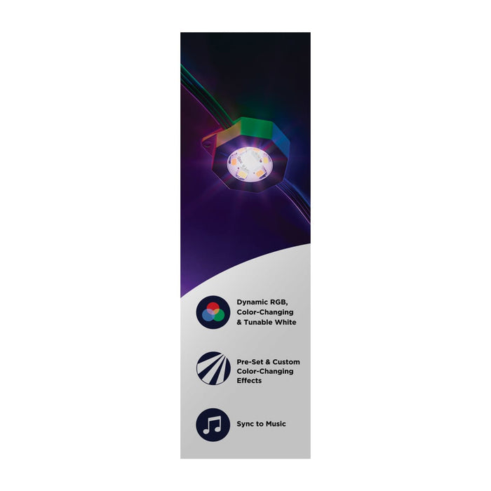 String Light Satco S11297 Starfish - 50 Foot LED Eave String Light - 24 Watt - RGBTW - 120 Volt - Remote Included Satco