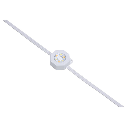 String Light Satco S11297 Starfish - 50 Foot LED Eave String Light - 24 Watt - RGBTW - 120 Volt - Remote Included Satco
