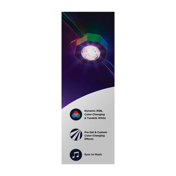 String Light Satco S11298 Starfish - 100 Foot LED Eave String Light - 48 Watt - RGBTW - 120 Volt - Remote Included Satco
