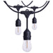 String Light Satco S8020R1 24 Foot LED String Light - 12-S14 Lamps - 2700K CCT - Black - 120 Volt Satco