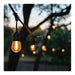 String Light Satco S8020R1 24 Foot LED String Light - 12-S14 Lamps - 2700K CCT - Black - 120 Volt Satco