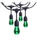String Light Satco S8031R1 24 Foot LED String Light - 12-S14 Lamps - Medium Base - RGBTW - Infrared Remote - Black - 120 Volt Satco