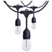 String Light Satco S8032R1 60 Foot LED String Light - 24-S14 Lamps - Medium Base - 2200K CCT - Black Satco