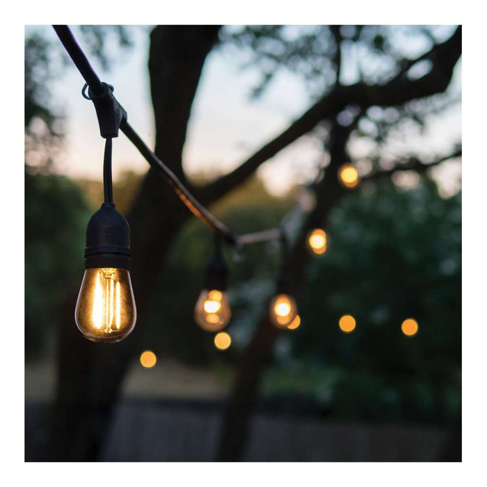 String Light Satco S8032R1 60 Foot LED String Light - 24-S14 Lamps - Medium Base - 2200K CCT - Black Satco