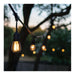 String Light Satco S8032R1 60 Foot LED String Light - 24-S14 Lamps - Medium Base - 2200K CCT - Black Satco