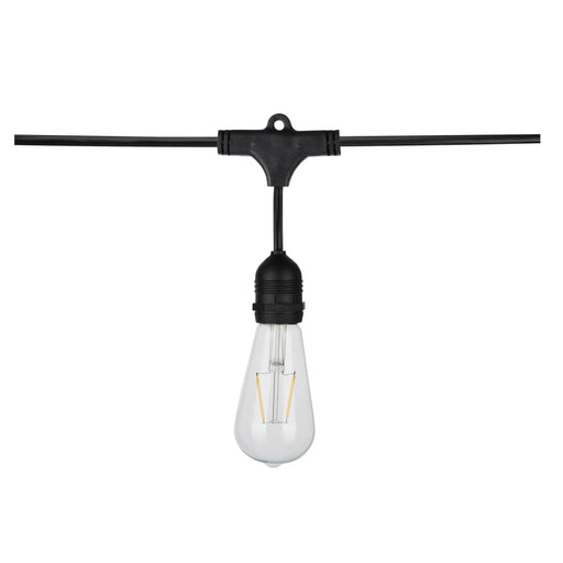 String Light Satco S8036 24Ft - LED String Light - 12 Vintage ST19 bulbs Included - 120 Volts Satco