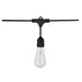 String Light Satco S8036 24Ft - LED String Light - 12 Vintage ST19 bulbs Included - 120 Volts Satco