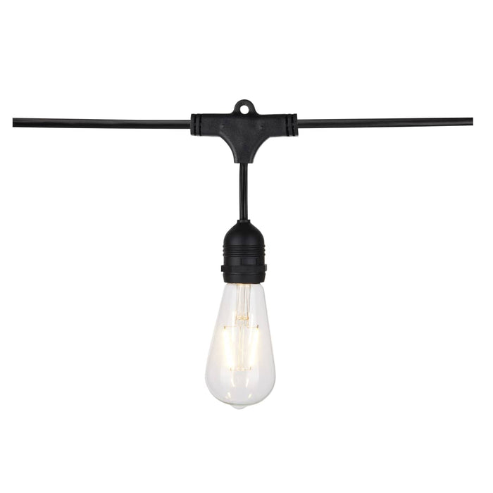 String Light Satco S8036 24Ft - LED String Light - 12 Vintage ST19 bulbs Included - 120 Volts Satco