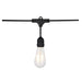 String Light Satco S8036 24Ft - LED String Light - 12 Vintage ST19 bulbs Included - 120 Volts Satco