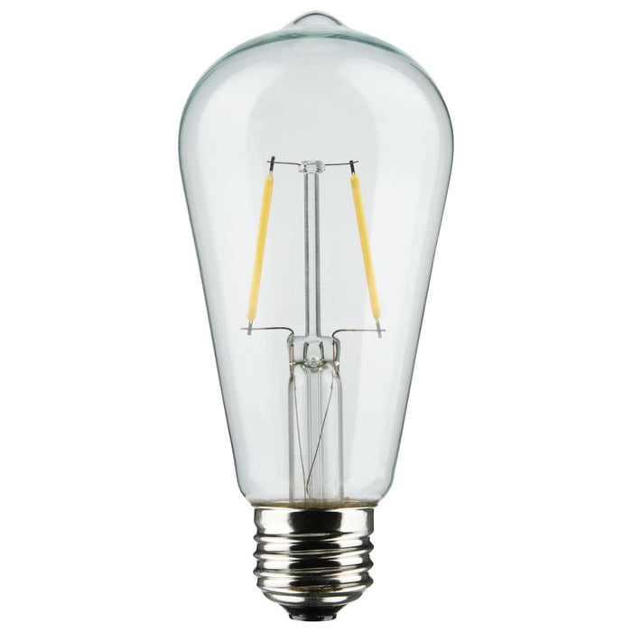 String Light Satco S8036 24Ft - LED String Light - 12 Vintage ST19 bulbs Included - 120 Volts Satco