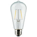 String Light Satco S8036 24Ft - LED String Light - 12 Vintage ST19 bulbs Included - 120 Volts Satco