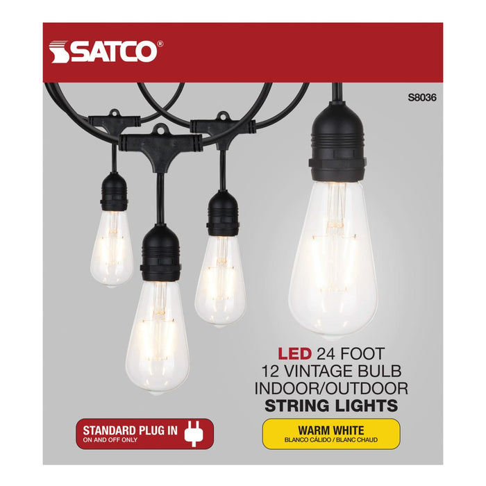 String Light Satco S8036 24Ft - LED String Light - 12 Vintage ST19 bulbs Included - 120 Volts Satco
