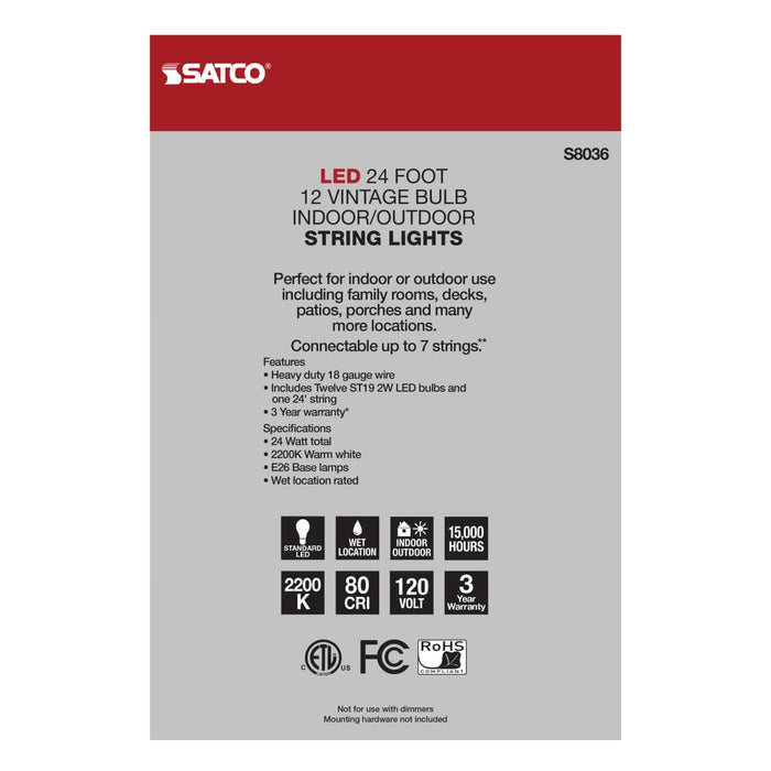 String Light Satco S8036 24Ft - LED String Light - 12 Vintage ST19 bulbs Included - 120 Volts Satco