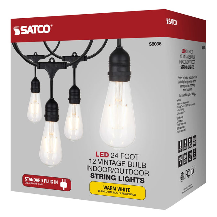 String Light Satco S8036 24Ft - LED String Light - 12 Vintage ST19 bulbs Included - 120 Volts Satco