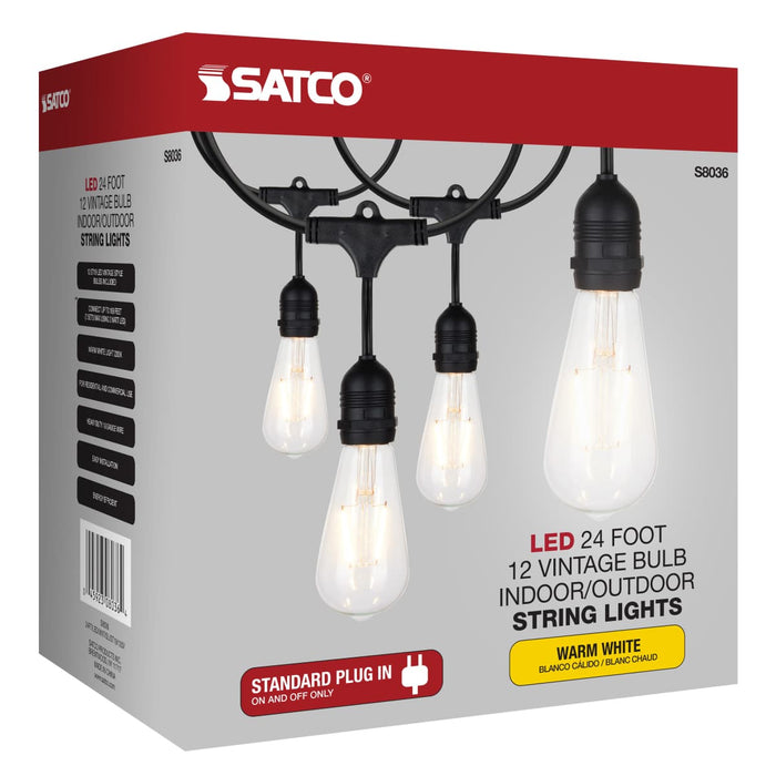 String Light Satco S8036 24Ft - LED String Light - 12 Vintage ST19 bulbs Included - 120 Volts Satco