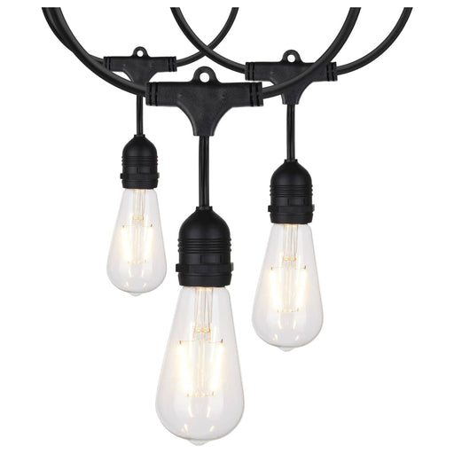 String Light Satco S8036 24Ft - LED String Light - 12 Vintage ST19 bulbs Included - 120 Volts Satco