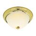 Flush Mount Nuvo SF76-130 2 Light - 11" Flush with Frosted Ribbed - Polished Brass Finish Nuvo