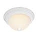 Flush Mount Nuvo SF76-131 2 Light - 11" Flush with Frosted Ribbed - Textured White Finish Nuvo