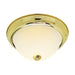 Flush Mount Nuvo SF76-132 2 Light - 13" Flush with Frosted Ribbed - Polished Brass Finish Nuvo