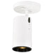 Flush Mount Nuvo SF76-412 1 Light - R20 - Straight Cylinder - White Finish Nuvo
