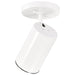 Flush Mount Nuvo SF76-412 1 Light - R20 - Straight Cylinder - White Finish Nuvo