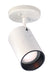 Flush Mount Nuvo SF76-412 1 Light - R20 - Straight Cylinder - White Finish Nuvo