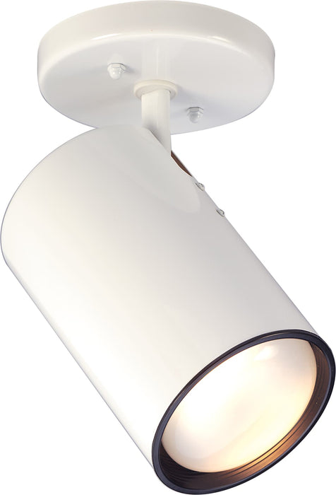 Flush Mount Nuvo SF76-418 1 Light - R30 - Straight Cylinder - White Finish Nuvo