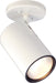 Flush Mount Nuvo SF76-418 1 Light - R30 - Straight Cylinder - White Finish Nuvo