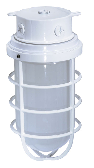 Vapor Proof Nuvo SF76-618 1 Light - 11" - Industrial Style - Surface Mount with Frosted Glass - White Finish Nuvo