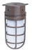 Vapor Proof Nuvo SF76-625 1 Light - 10" - Industrial Style - Surface Mount with Frosted Glass - Old Bronze Finish Nuvo