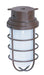 Vapor Proof Nuvo SF76-627 1 Light - 11" - Industrial Style - Surface Mount with Frosted Glass - Old Bronze Finish Nuvo