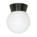 Flush Mount Nuvo SF77-153 1 Light - 8" - Utility - Ceiling Mount - With White Glass Globe - Bronzotic Finish Nuvo