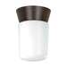 Flush Mount Nuvo SF77-156 1 Light - 8" - Utility - Ceiling Mount - With White Glass Cylinder - Bronzotic Finish Nuvo