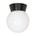 Flush Mount Nuvo SF77-157 1 Light - 8" - Utility - Ceiling Mount - With White Glass Globe - Black Finish Nuvo
