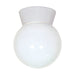 Flush Mount Nuvo SF77-532 1 Light - 8" - Utility - Ceiling Mount - With White Glass Globe - White Finish Nuvo