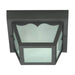Flush Mount Nuvo SF77-863 1 Light - 8" - Carport Flush Mount - With Frosted Glass - Black Finish Nuvo