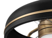 Ceiling Fan Craftmade TYL24FBSB3 Taylor 24" Ceiling Fan Fandelier Black Satin Brass Craftmade