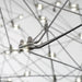 Eurofase 38037-026 Leonardelli 49" Chrome Black LED Chandelier