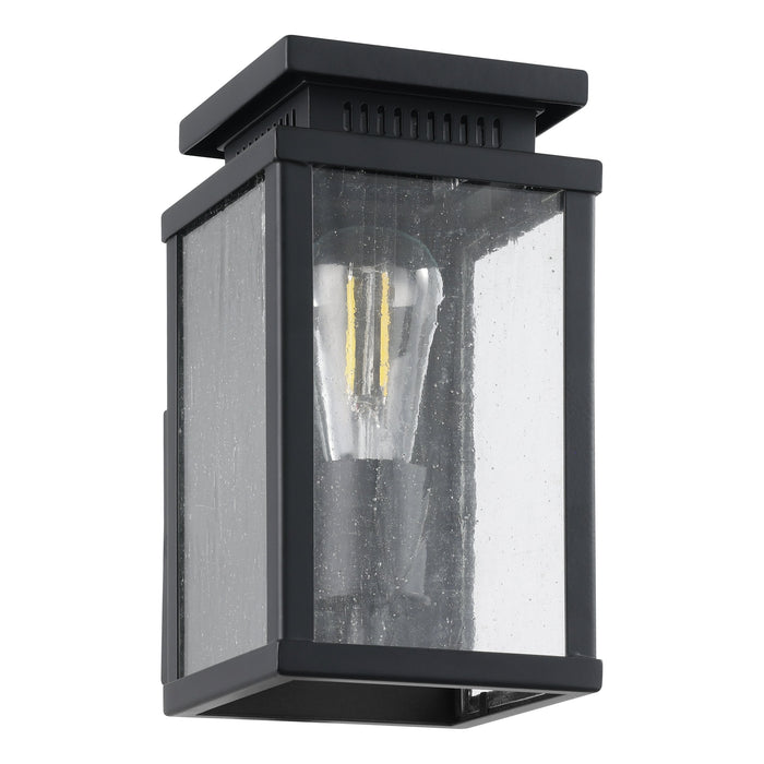 Exterior Wall Sconce Thesis 207049A Overton 9 inch 1 light Matte Black Exterior Wall Sconce with Clear Antique Glass THESIS