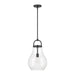 Pendant Light Thesis 207644A Mansfield 12 inch 1 light Matte Black Pendant Light with Clear Glass Shade THESIS