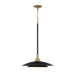 Eurofase 46441-041 Welsh 18" Matte Black LED Pendant Light