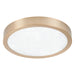 Flush Mount Thesis 207615A Argyle 12 inch Champagne Gold and Natural Alabaster 5CCT LED Flush Mount THESIS