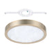 Flush Mount Thesis 207615A Argyle 12 inch Champagne Gold and Natural Alabaster 5CCT LED Flush Mount THESIS