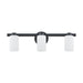 Vanity Light Thesis 207036A Bedminster 24 inch 3 light Matte Black Vanity Light with Etched Opal Ribbed Glass Shades THESIS