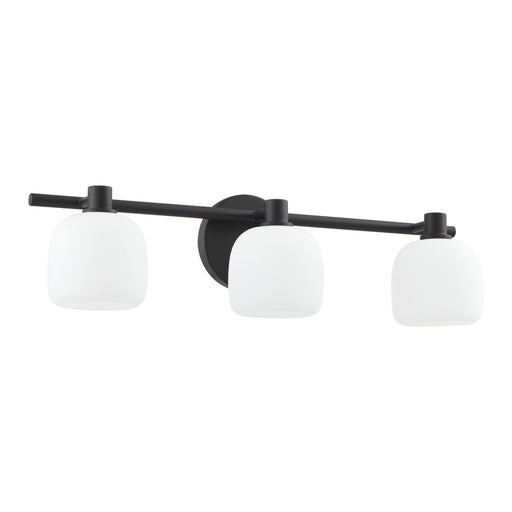 Vanity Light Thesis 207011A Valentina 24 inch 3 light Matte Black Vanity Light with Etched Opal Glass Shades THESIS
