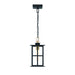 Eurofase 47388-017 Greyson 16" Brass-Black Mix LED Pendant Light