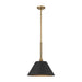 Pendant Light Thesis 207335A Mcgill 16 inch 1 light Natural Brass Pendant Light with Matte Black and Gold Metal Shade THESIS