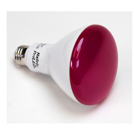 LED BR (Bulged Reflector) Floods Halco - BR30FL8/PNK/LED - LED BR30 Flood 8W Pink Dimm E26 120V -L 25Khrs 80CRI Halco Lighting Technologies