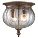 Outdoor Flush Mount Z-Lite 516F-WB Weathered Bronze Belmont 2 Light Outdoor Flush Mount Z-Lite