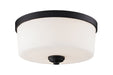 Flush Mount Z-Lite 220F3 Bronze Arlington 3 Light Flush Mount Z-Lite